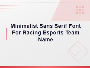 Minimalist Sans Serif Font for Racing Esports Team Name
